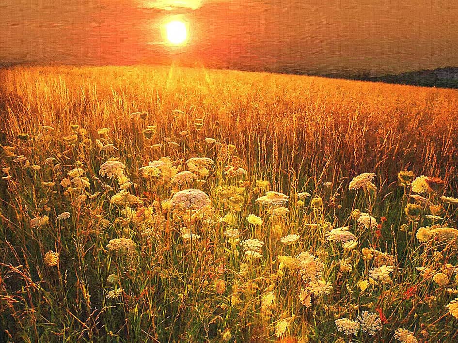 Жаркое лето.