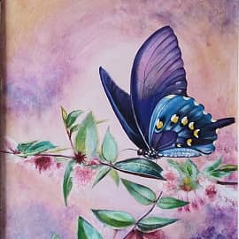 Бабочка.Вечер.