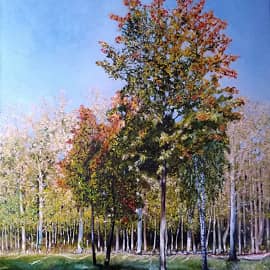 Осенний клён