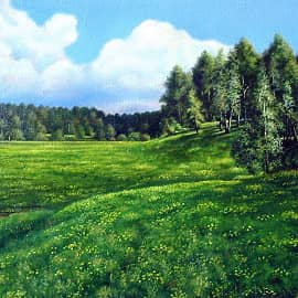 Одуванчиковые поляны  The Dandelion Glades