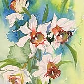 Первоцветы