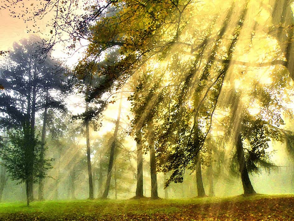 Цветные туманы осени.