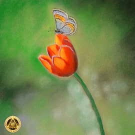 ПРИКОСНОВЕНИЕ