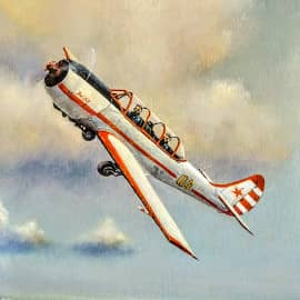 Есть только небо - одно на двоих!