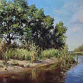 Речная пляжная заводь