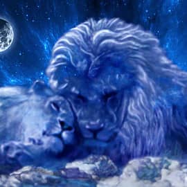 Львиная нежность