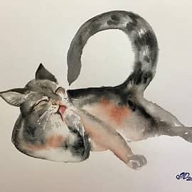 Котик умывается