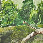Змеевидная коряга