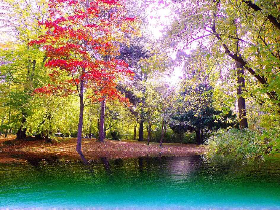 Осенний берег.