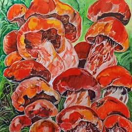 Сатанинский гриб и его семейство