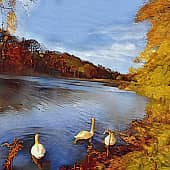 Лебединое озеро.