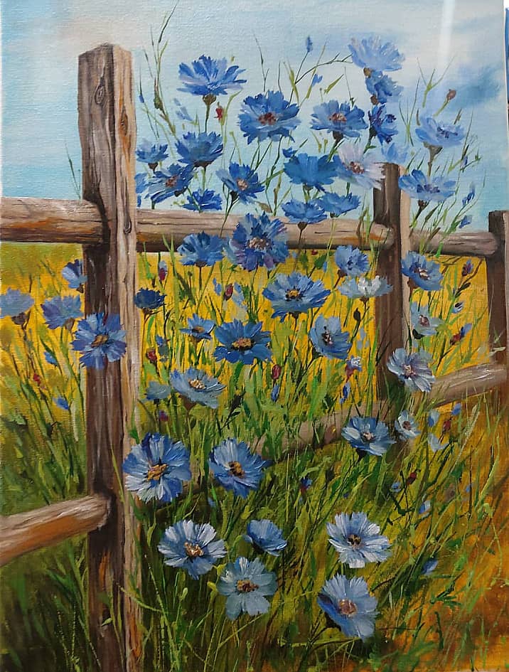 Поле васильков.