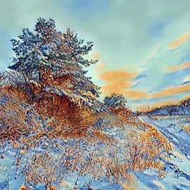 Тропинка в снегу-1