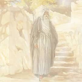 Местный житель