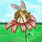 Пчела