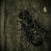 "Сожительница"