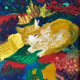 Котик Солнышко