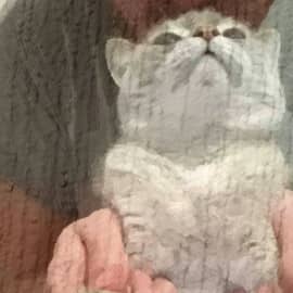 Автопортрет я и Даша Котофеевна