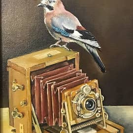 Сейчас вылетит птичка