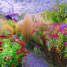 Отцвели уж давно хризантемы в саду.