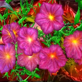 Вечерние огоньки