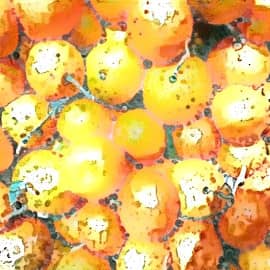 Мандариновая радость