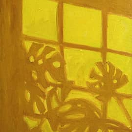 Листья монстеры танцуют под лучами солнца