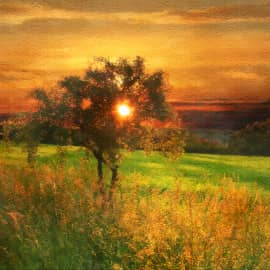 тени на закате