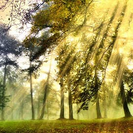 Цветные туманы осени.