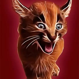 Маленький но грозный  каракал