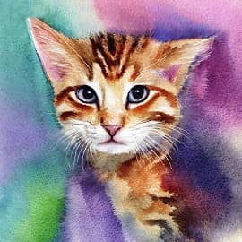 Картина "Кота помыли"