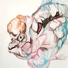 Экзотическая рыбка серая