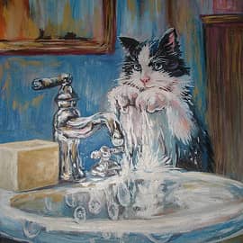 Мокрое дело. Котику жарко.