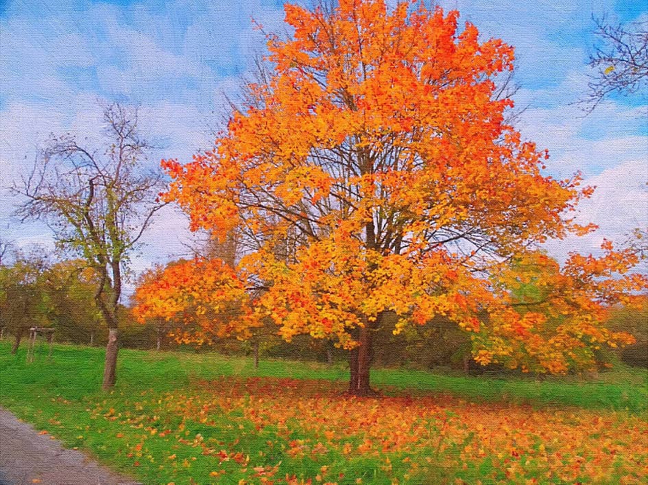 "и пышное природы увяданье".