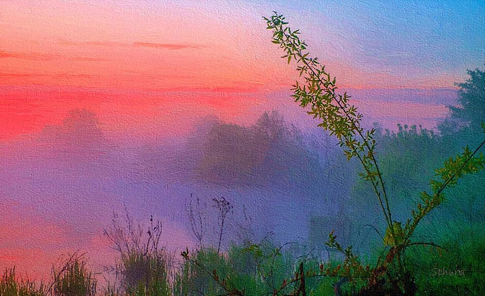 Алеет восток.