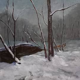 Неожиданная встреча