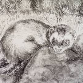 Эрни на природе