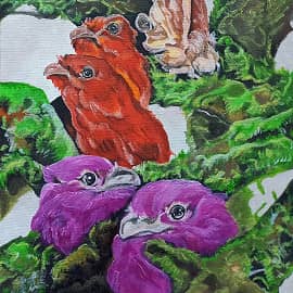 Сон о птицах. Разноцветие.