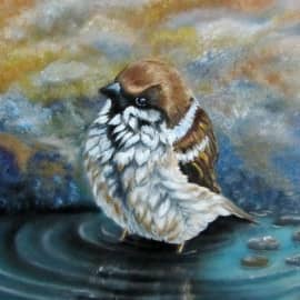 водные процедуры