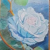 Голубая роза.