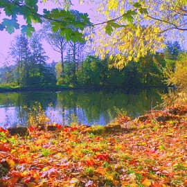 Солнечный берег.