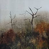 Осень в Жигулях #3