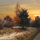 Морозный рассвет.