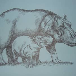 Бегемотики