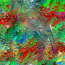 Светография 26