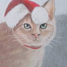 Новогодний котик