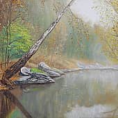 безмятежная тишина