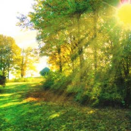 в лучах солнца-2