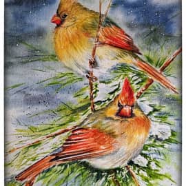 Красный кардинал