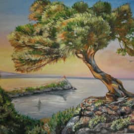 Сосна на скале.